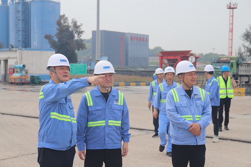 庄雷君赴龙湾港区、乐清湾C区开展调研