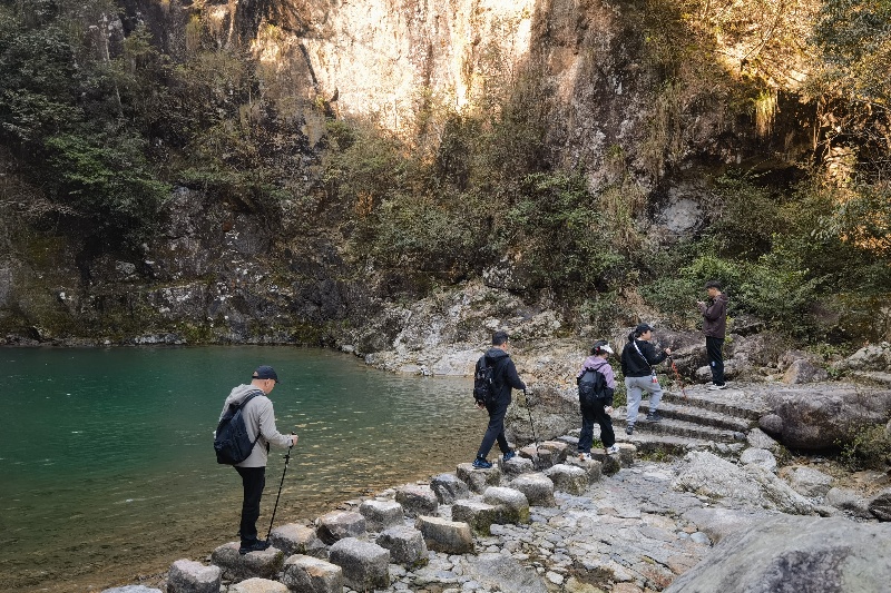 新得利·(中国)有限公司官网