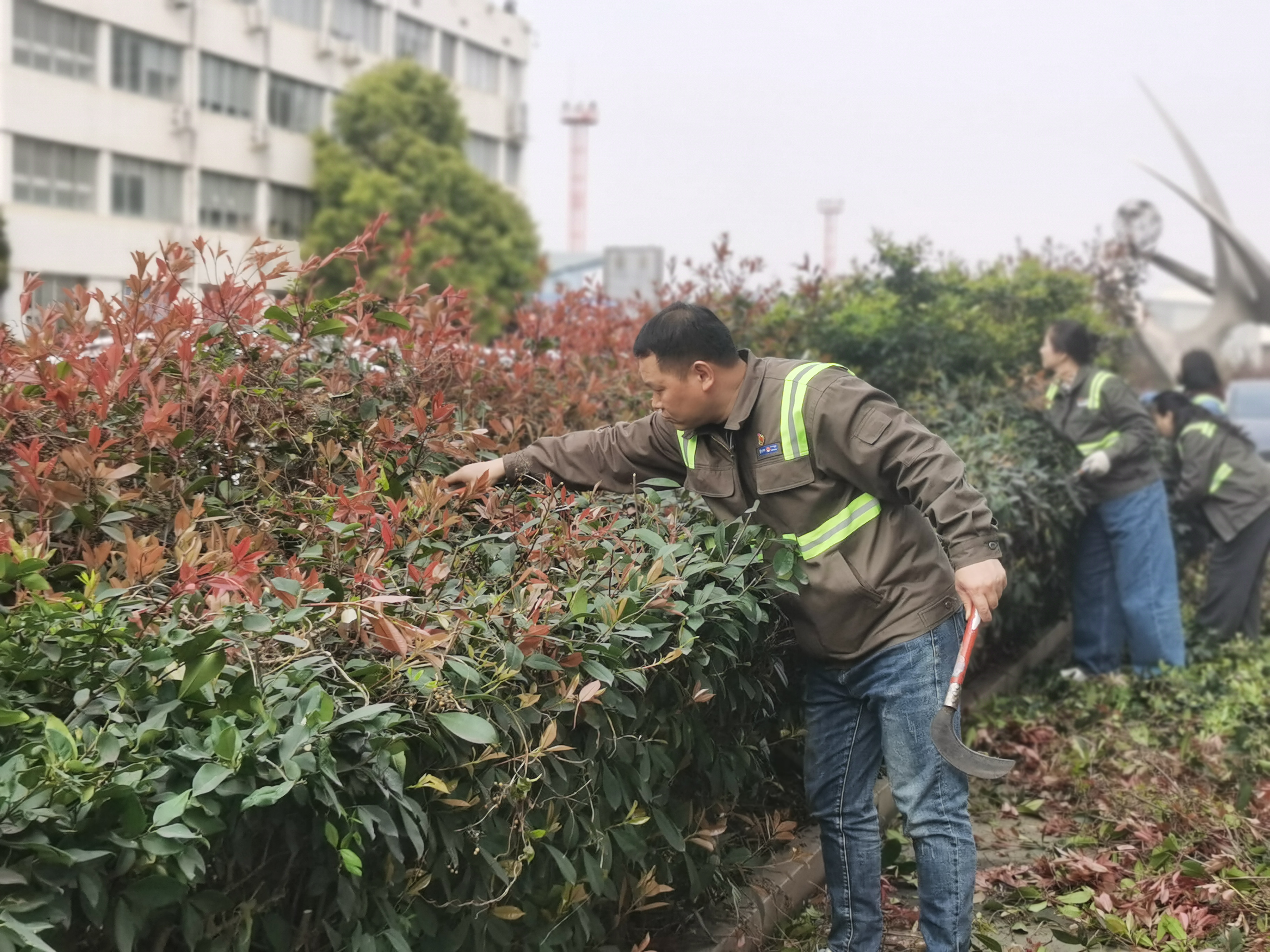 新得利·(中国)有限公司官网