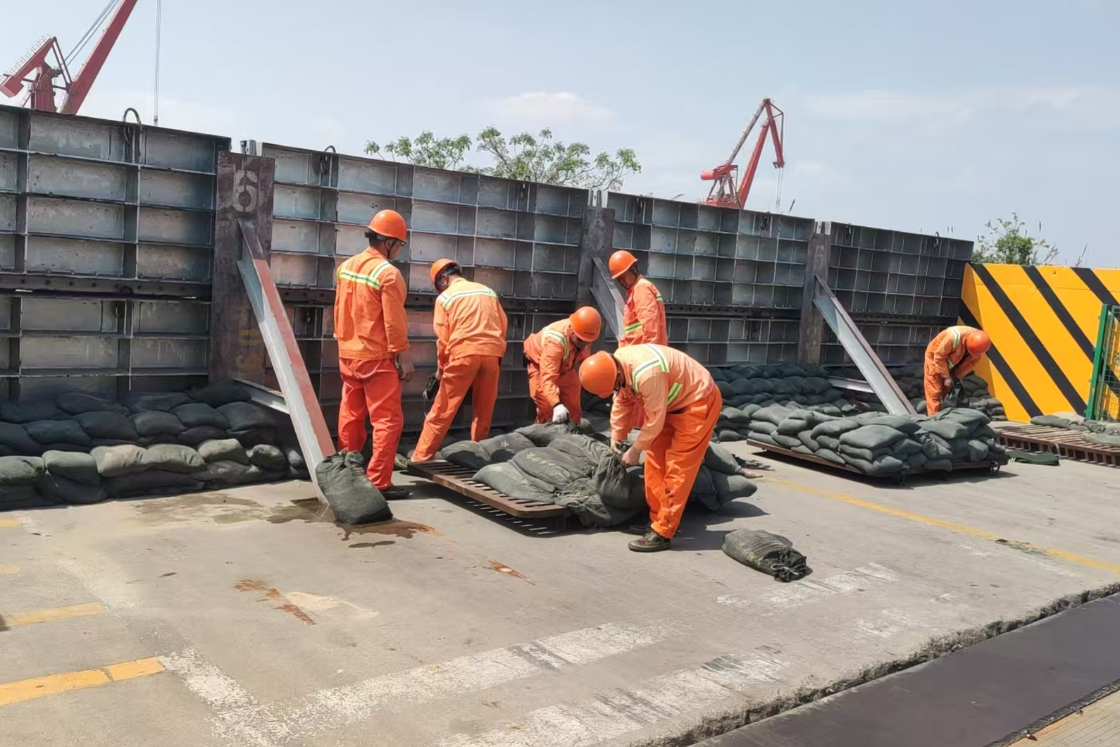 新得利·(中国)有限公司官网