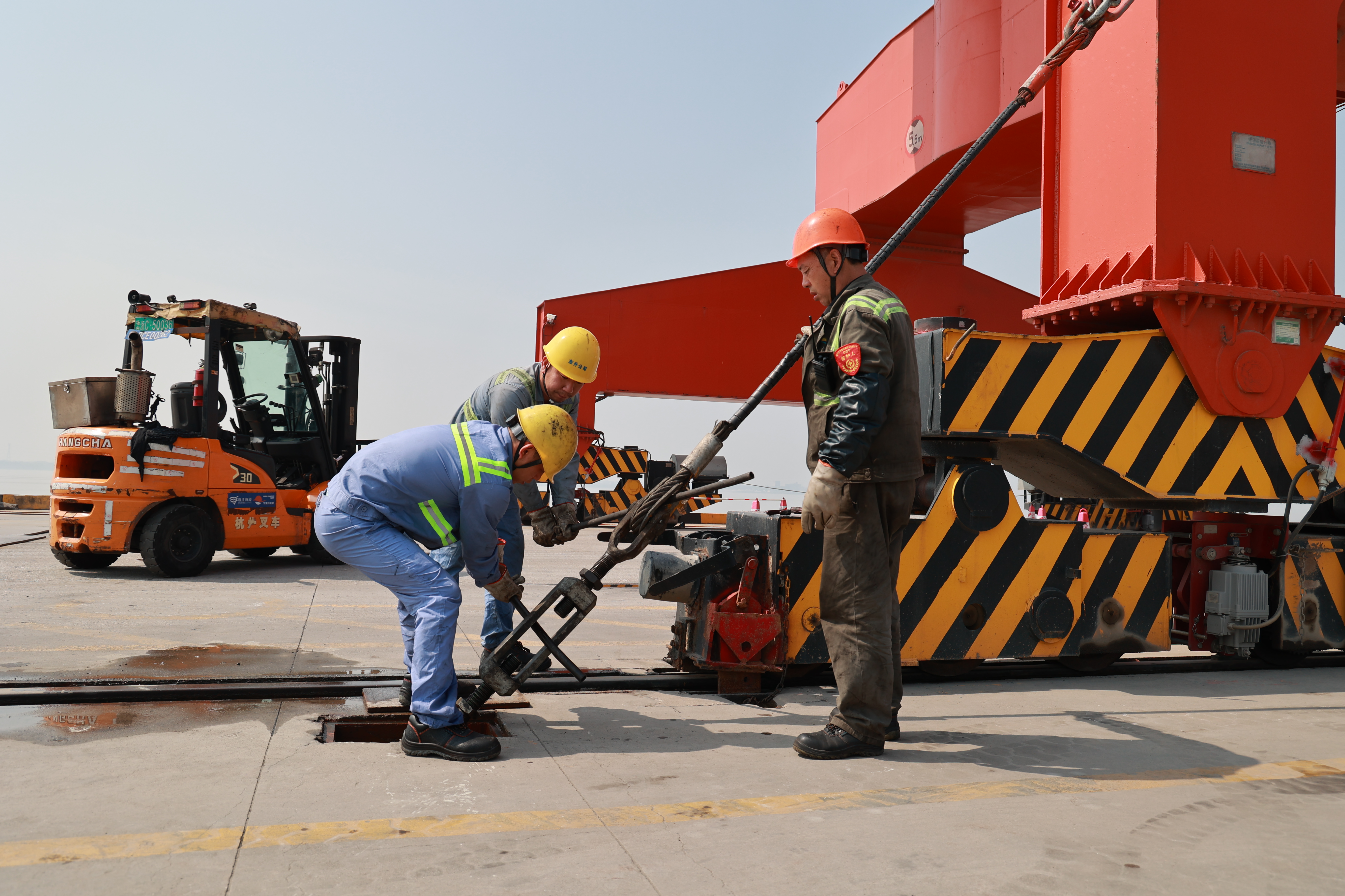 新得利·(中国)有限公司官网